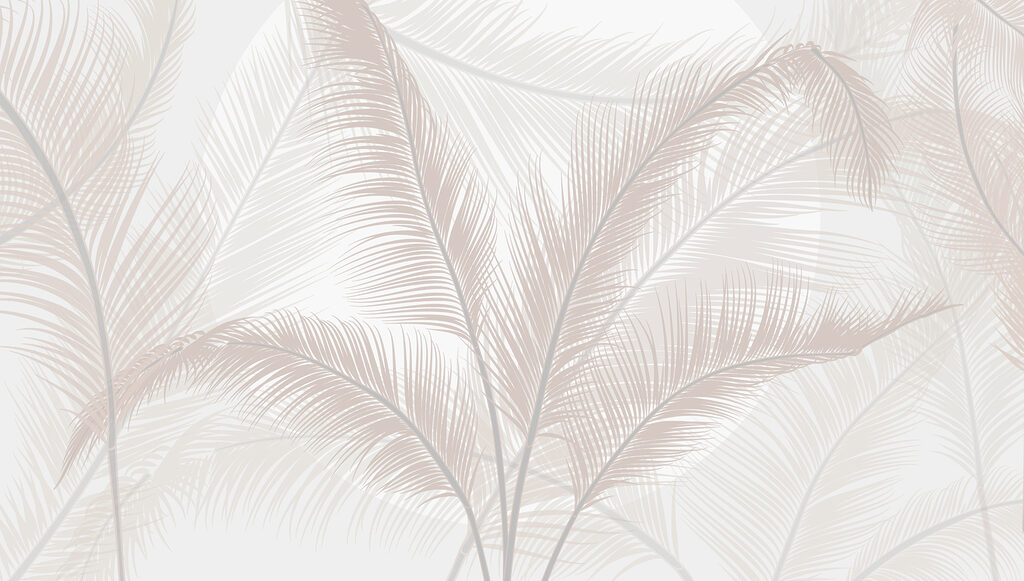 Group of feathers on a white background Group of feathers on a white background
