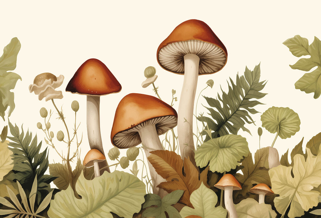 Group of mushrooms with leaves Group of mushrooms with leaves