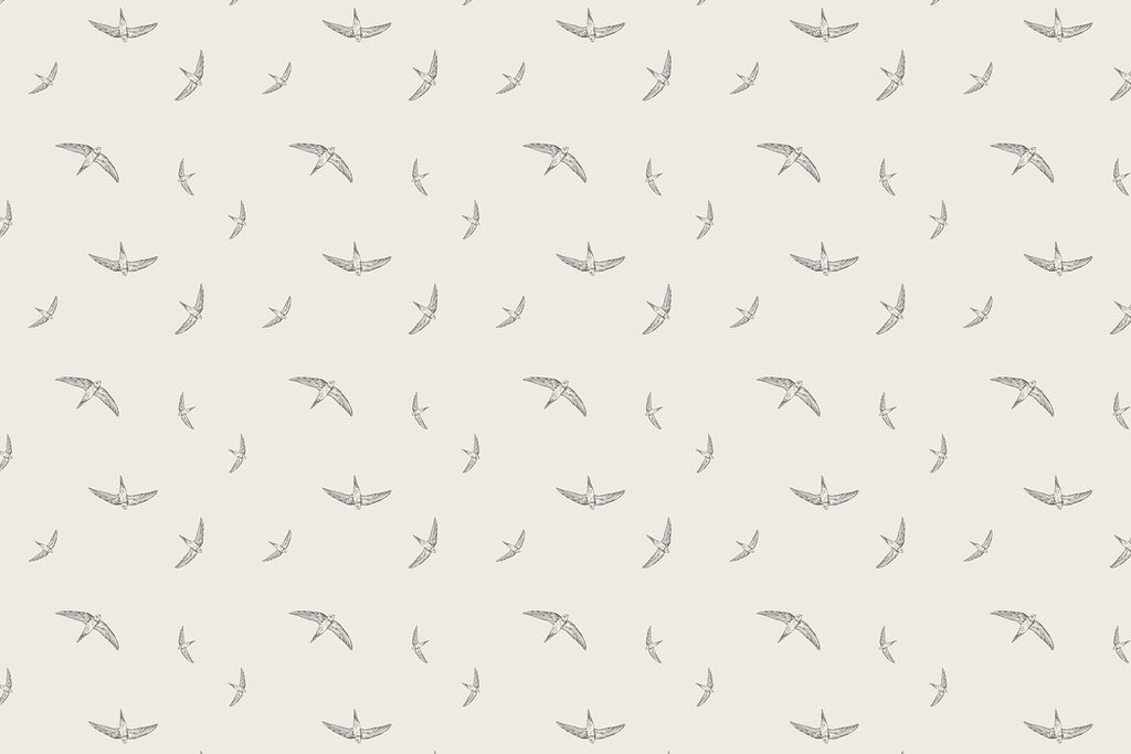 Pattern of birds on a white background Pattern of birds on a white background