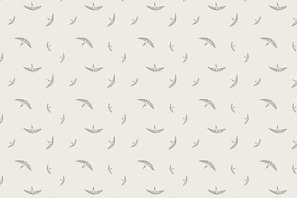 Pattern of birds on a white background Pattern of birds on a white background