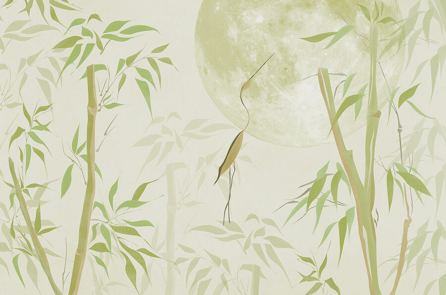 Bamboo trees and a moon
