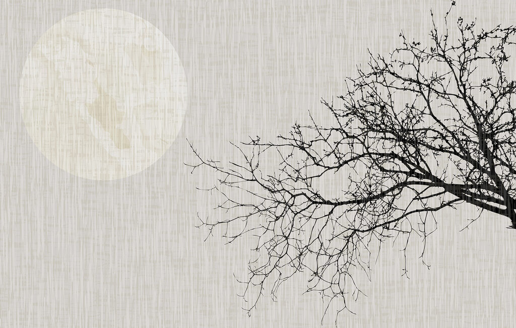 Tree with no leaves Tree with no leaves