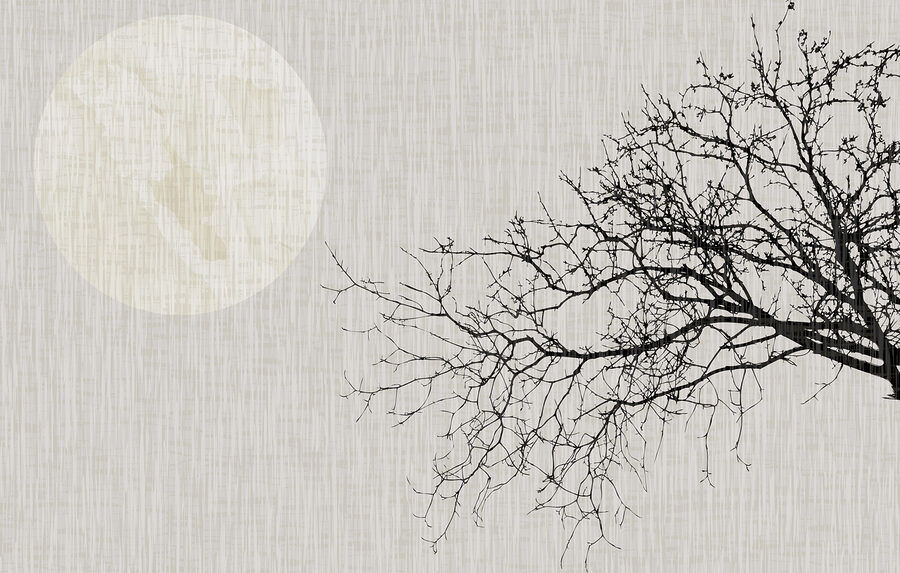 Tree with no leaves