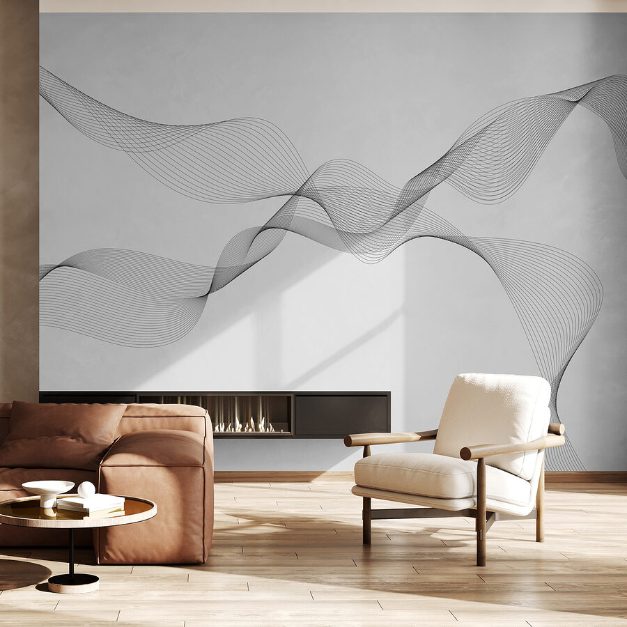 Black and white lines