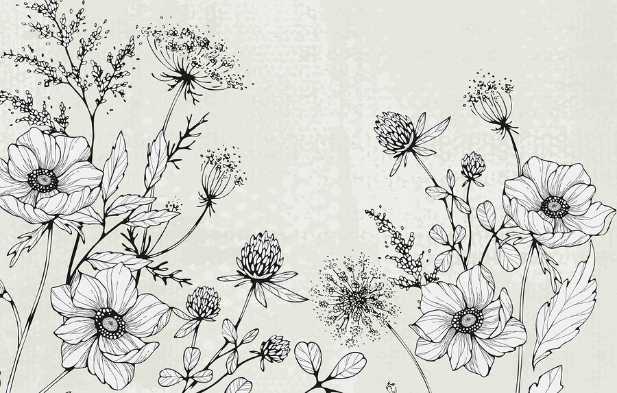 Drawing of flowers and leaves Drawing of flowers and leaves