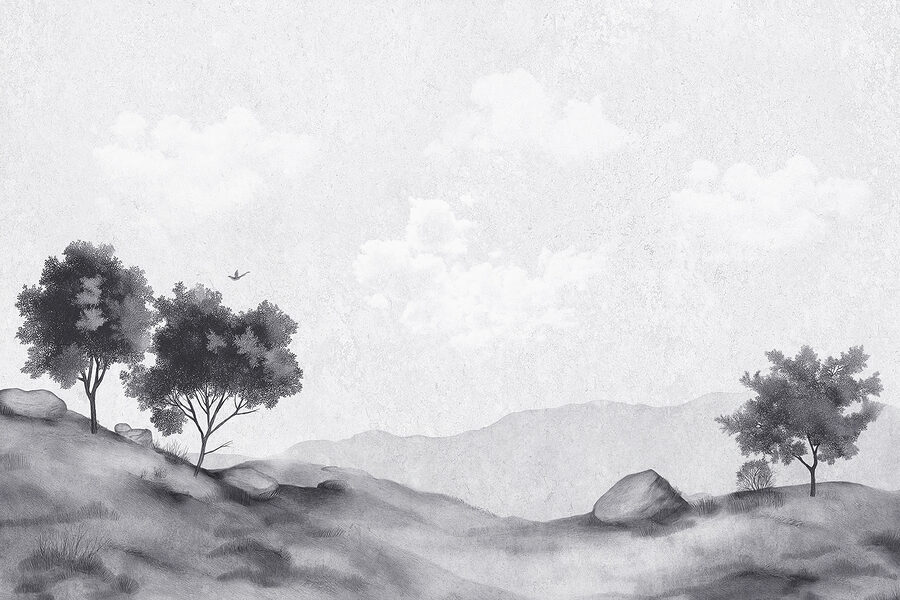 Landscape with trees and rocks