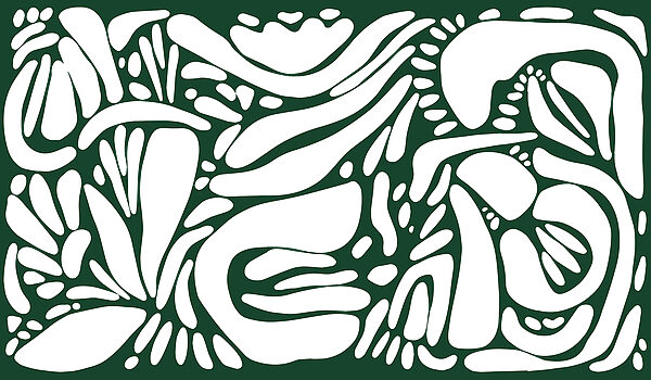 White and green pattern White and green pattern