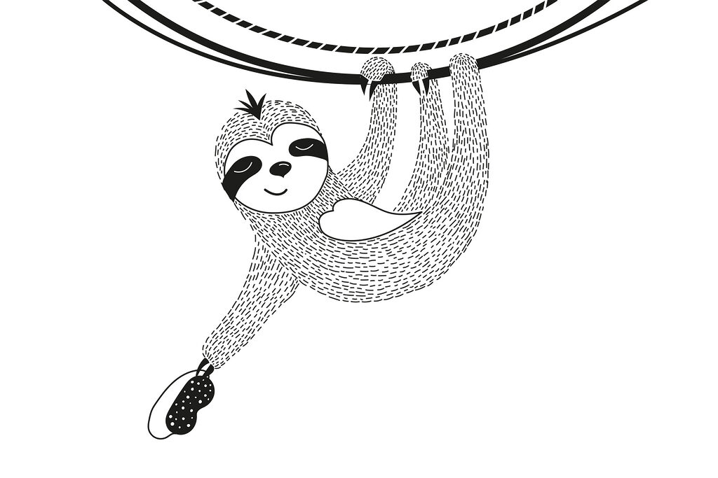 Sloth from a rope Sloth from a rope