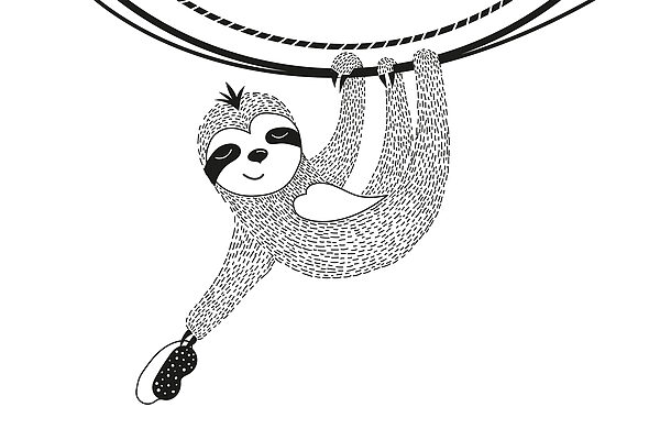 Sloth from a rope Sloth from a rope