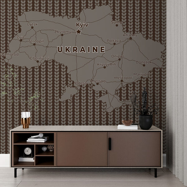 Map of ukraine with lines and cities Map of ukraine with lines and cities