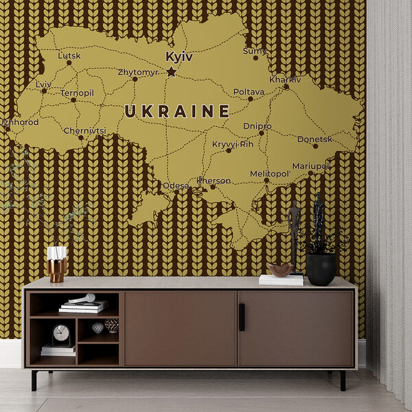 Map of ukraine with lines and cities Map of ukraine with lines and cities