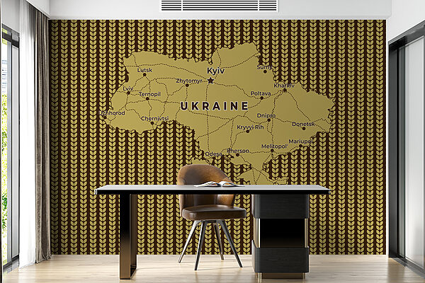 Map of ukraine with lines and cities Map of ukraine with lines and cities