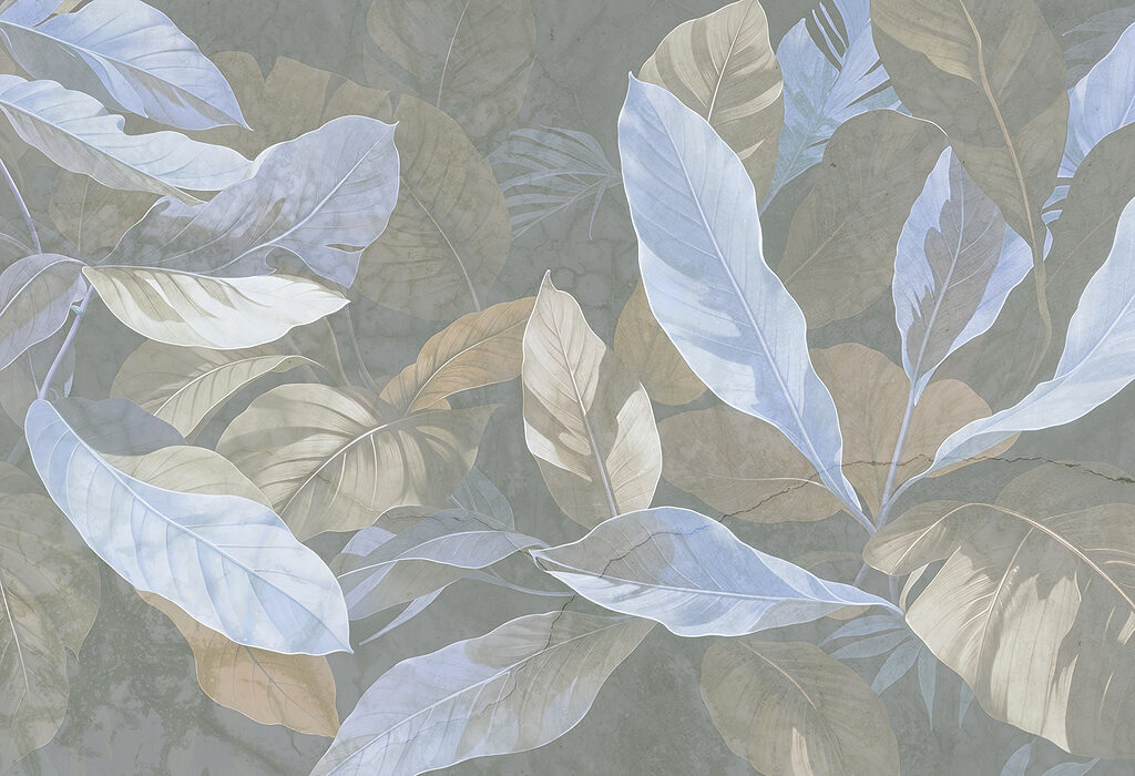 Close up of leaves Close up of leaves