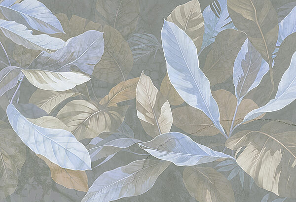 Close up of leaves Close up of leaves
