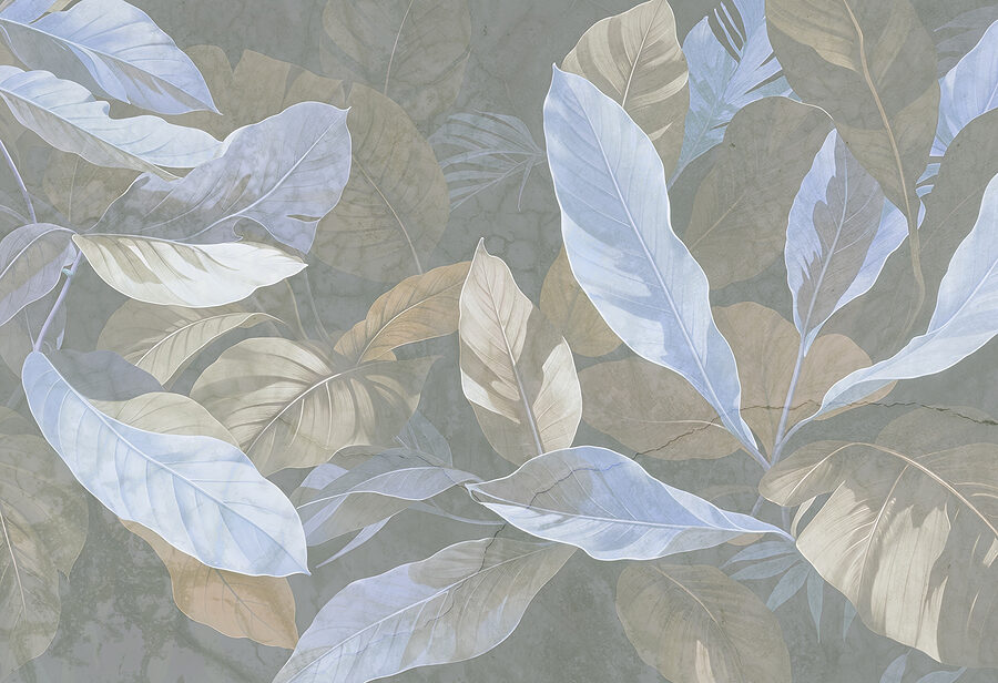 Close up of leaves Close up of leaves