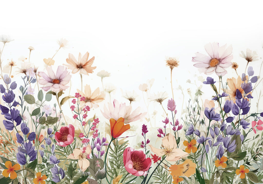 Group of flowers on a white background Group of flowers on a white background