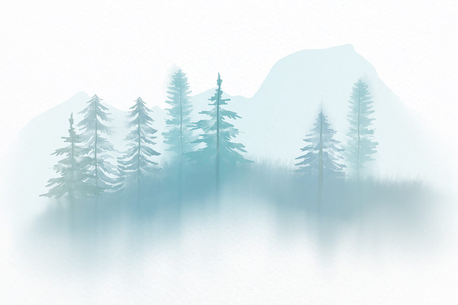 Foggy landscape with trees and mountains