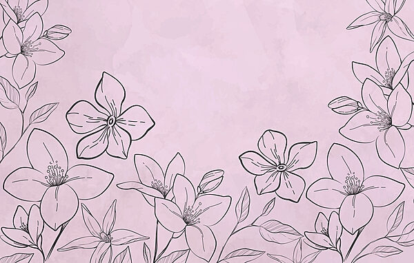 Drawing of flowers on a pink background Drawing of flowers on a pink background