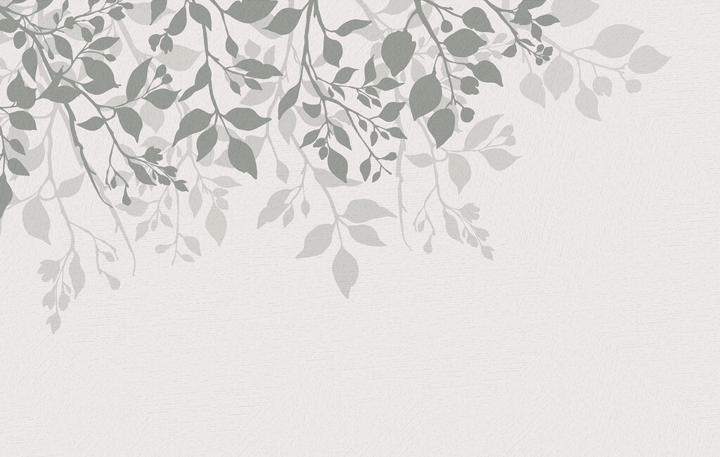 White background with leaves White background with leaves