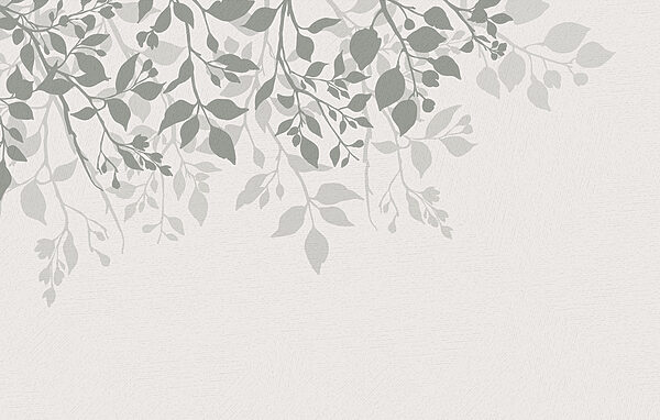 White background with leaves White background with leaves
