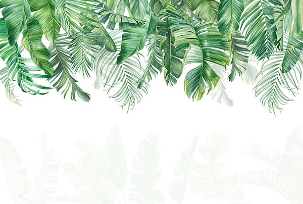 Row of green leaves Row of green leaves