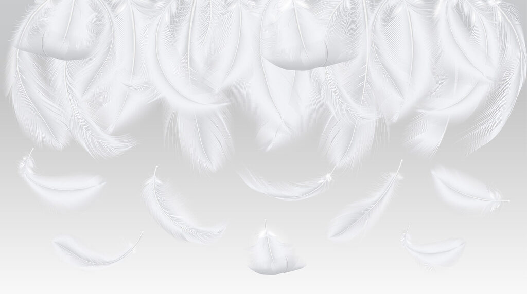 White feathers falling down White feathers falling down