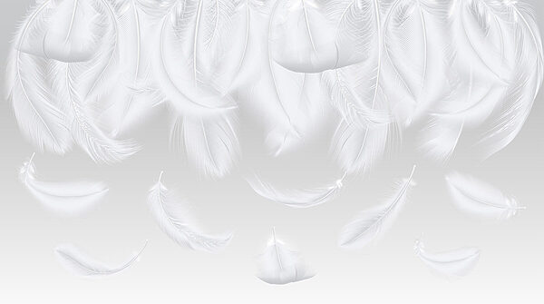 White feathers falling down White feathers falling down