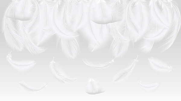 White feathers falling down White feathers falling down