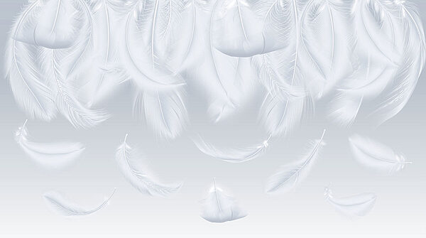 White feathers falling down White feathers falling down