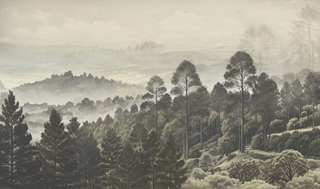 Landscape of trees and fog Landscape of trees and fog