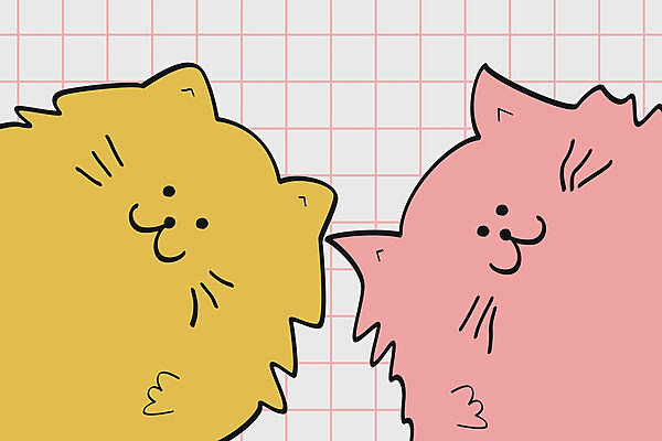 Yellow and pink cat Yellow and pink cat