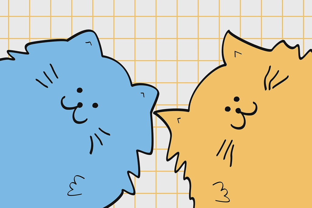 Blue and yellow cat Blue and yellow cat