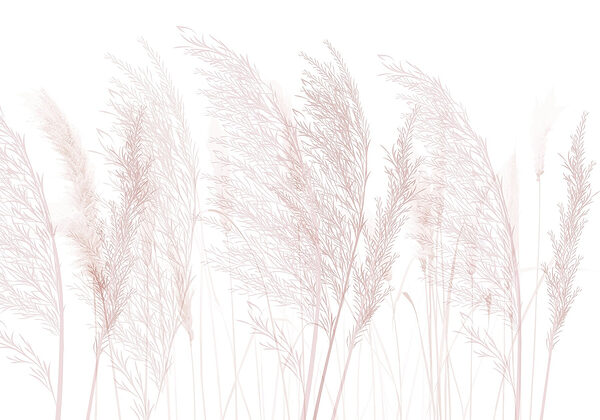 Group of grass with pink flowers Group of grass with pink flowers