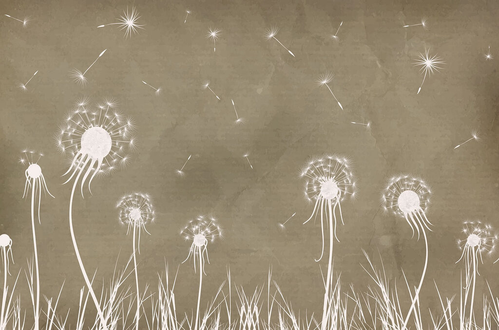 Dandelion flowers and grass Dandelion flowers and grass