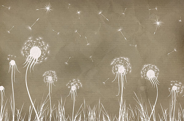 Dandelion flowers and grass Dandelion flowers and grass