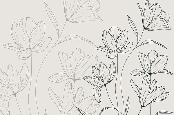 Drawing of flowers on a white background Drawing of flowers on a white background