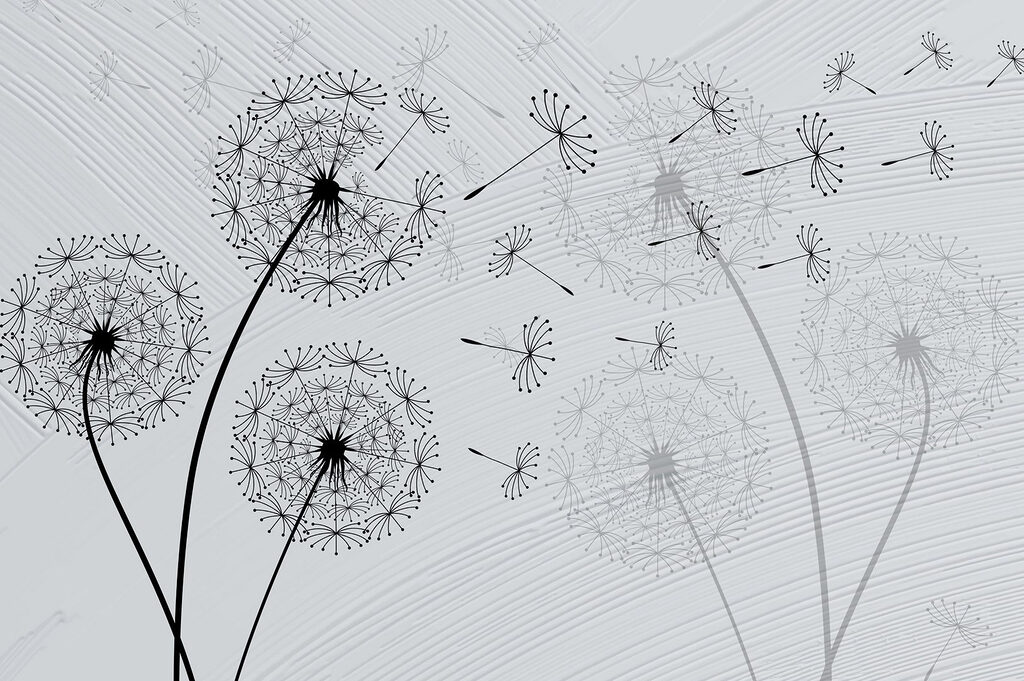 Dandelion seeds dancing in the breeze. Dandelion seeds dancing in the breeze.