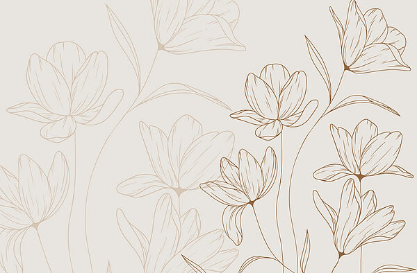 Drawing of flowers on a white background Drawing of flowers on a white background