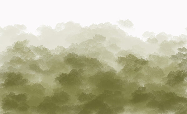 Foggy forest with green smoke Foggy forest with green smoke