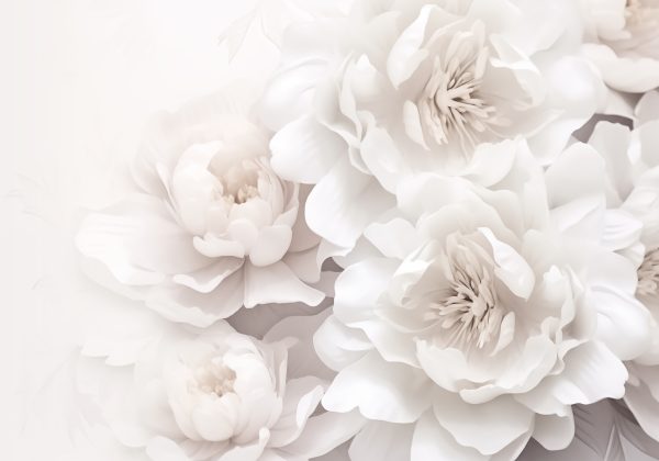 Group of white flowers