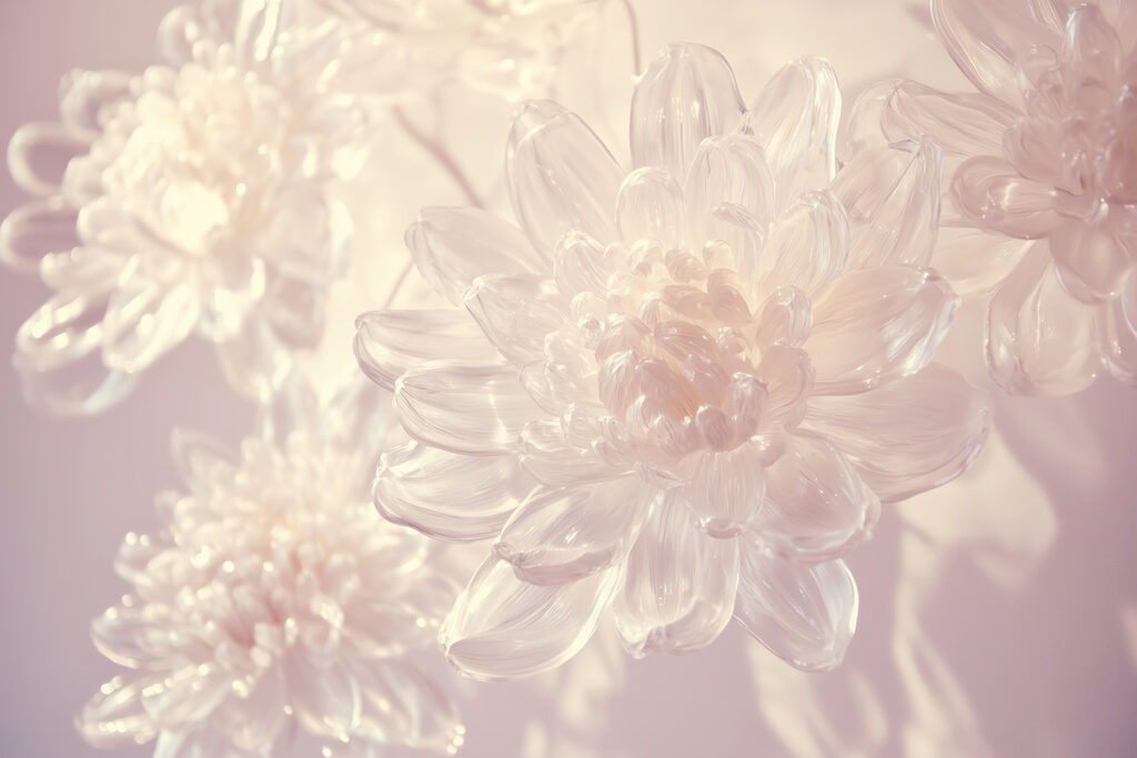 Delicate petals in soft light. Delicate petals in soft light.
