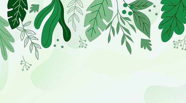 Green leaves and branches Green leaves and branches
