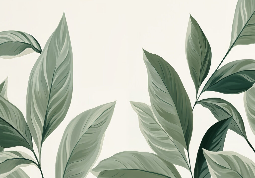 Nature's elegance in soft greens. Nature's elegance in soft greens.
