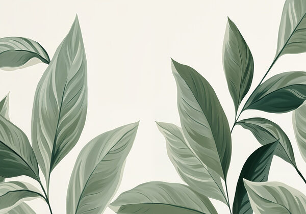 Nature's elegance in soft greens. Nature's elegance in soft greens.