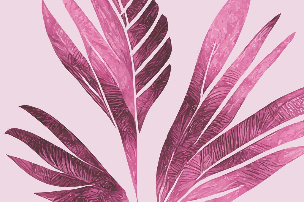 Elegant pink foliage on soft background Elegant pink foliage on soft background