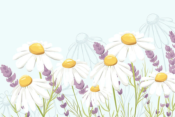 Group of white flowers Group of white flowers