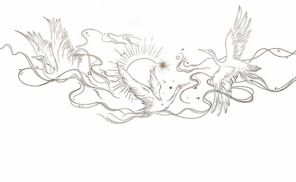Drawing of birds and sun Drawing of birds and sun