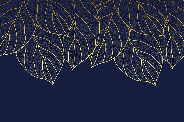 Elegant leaf pattern on dark background Elegant leaf pattern on dark background