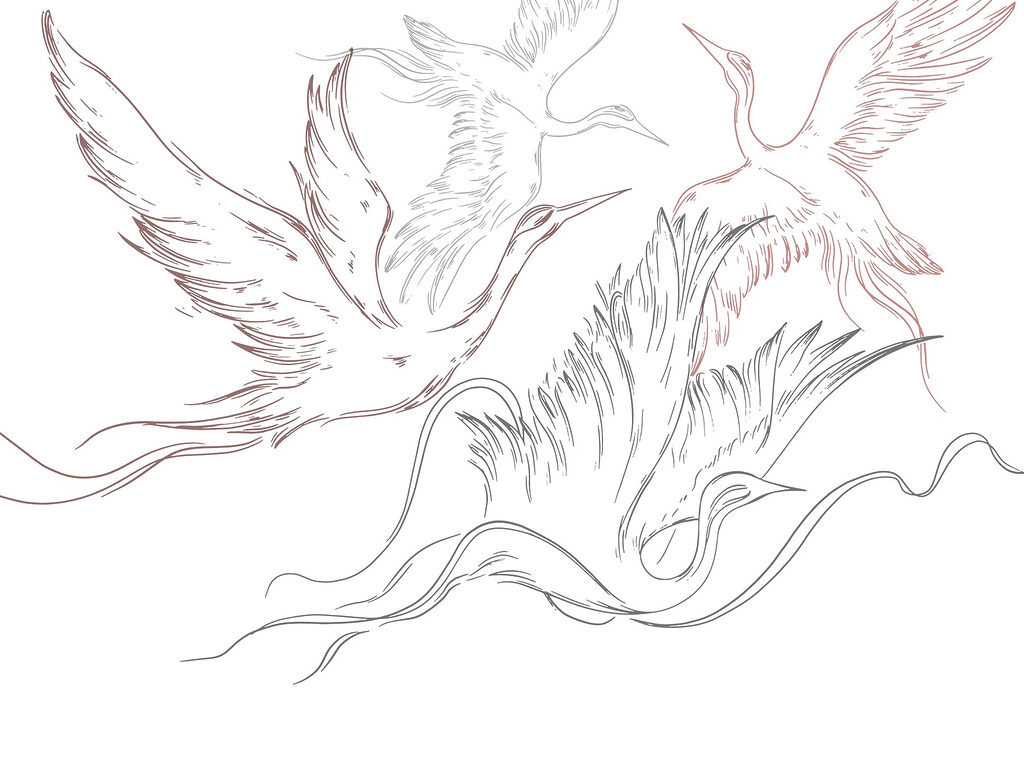 Drawing of birds flying Drawing of birds flying