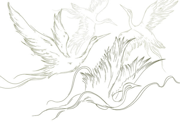 Drawing of birds flying